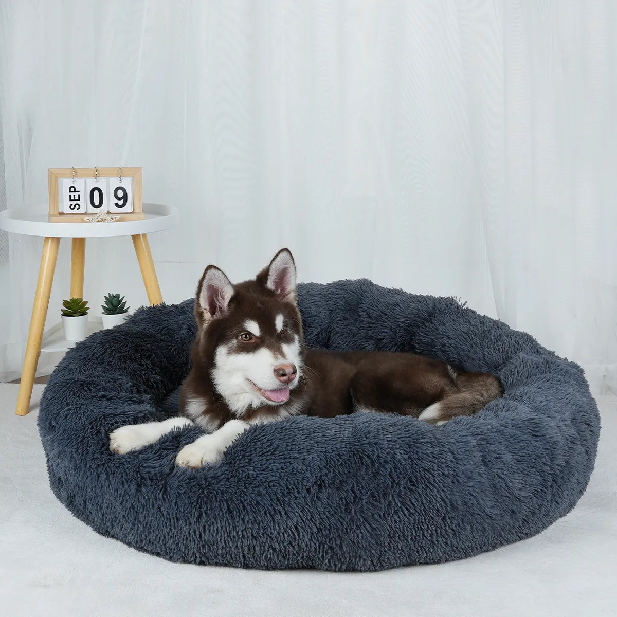 Cozy Dog Bed - Cloud 7
